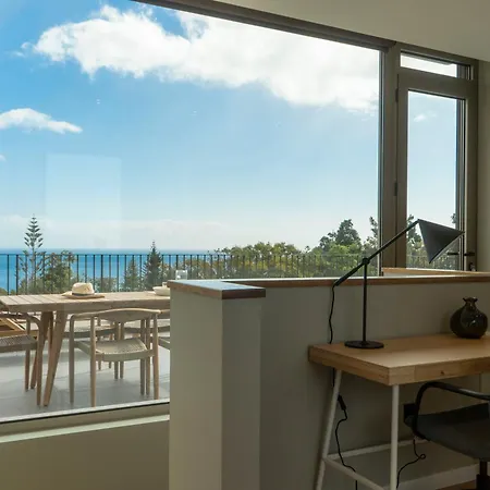 Boat By Madeira Daire Funchal