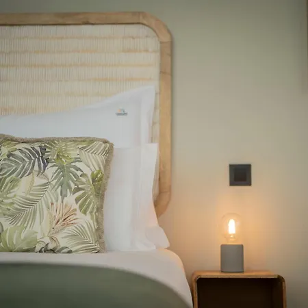 Boat By Madeira Daire Funchal